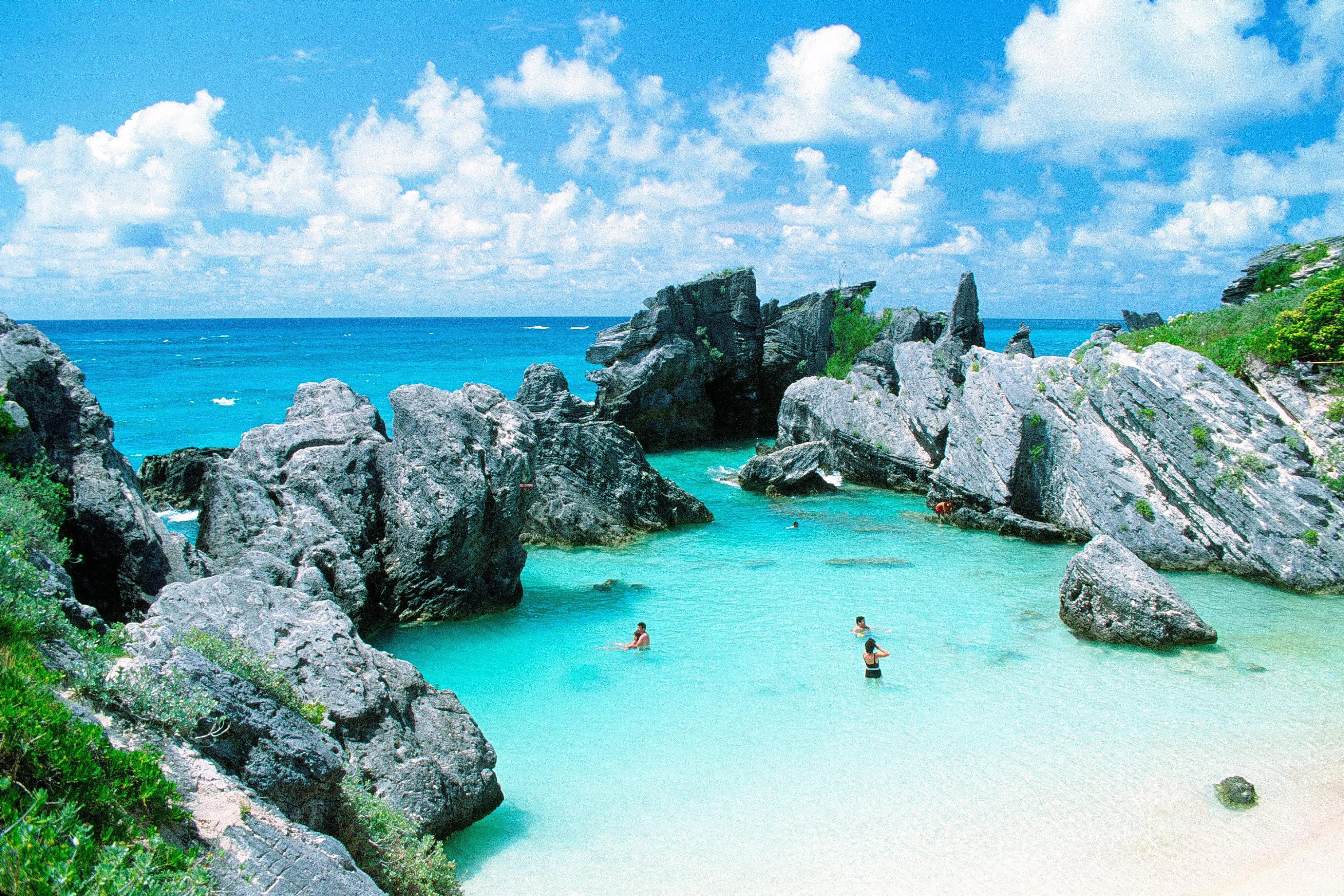 bermuda (1)
